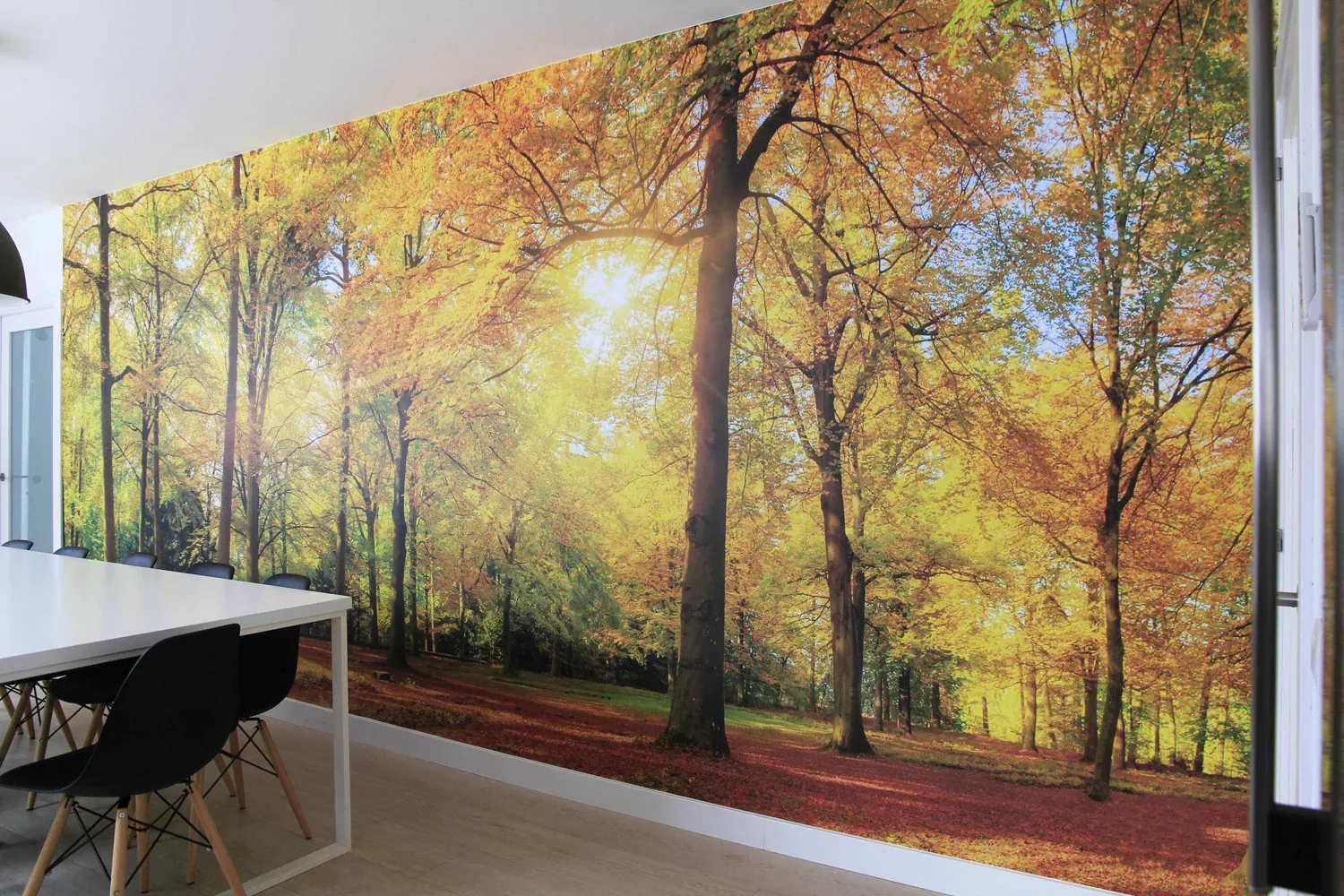 Fotomural decorativo de bosque otoñal instalado por Àbac Rètols en una sala de reuniones.